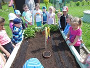 Zahrádka ve školce